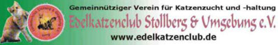 Edelkatzenklub  Stollberg & Umgebung e.V.