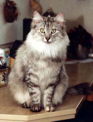 Daisy von der Silberstra&szlig;e