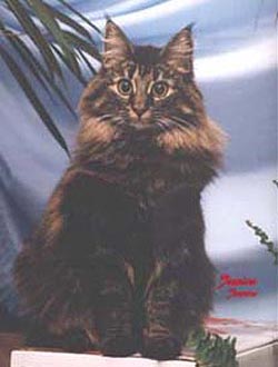 Jessica von der Salzwiese