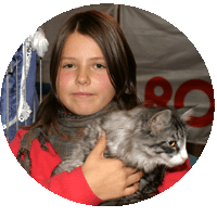 Sisi