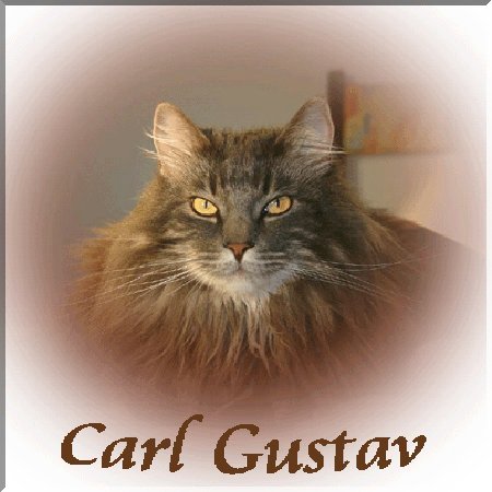 Carl Gustav...